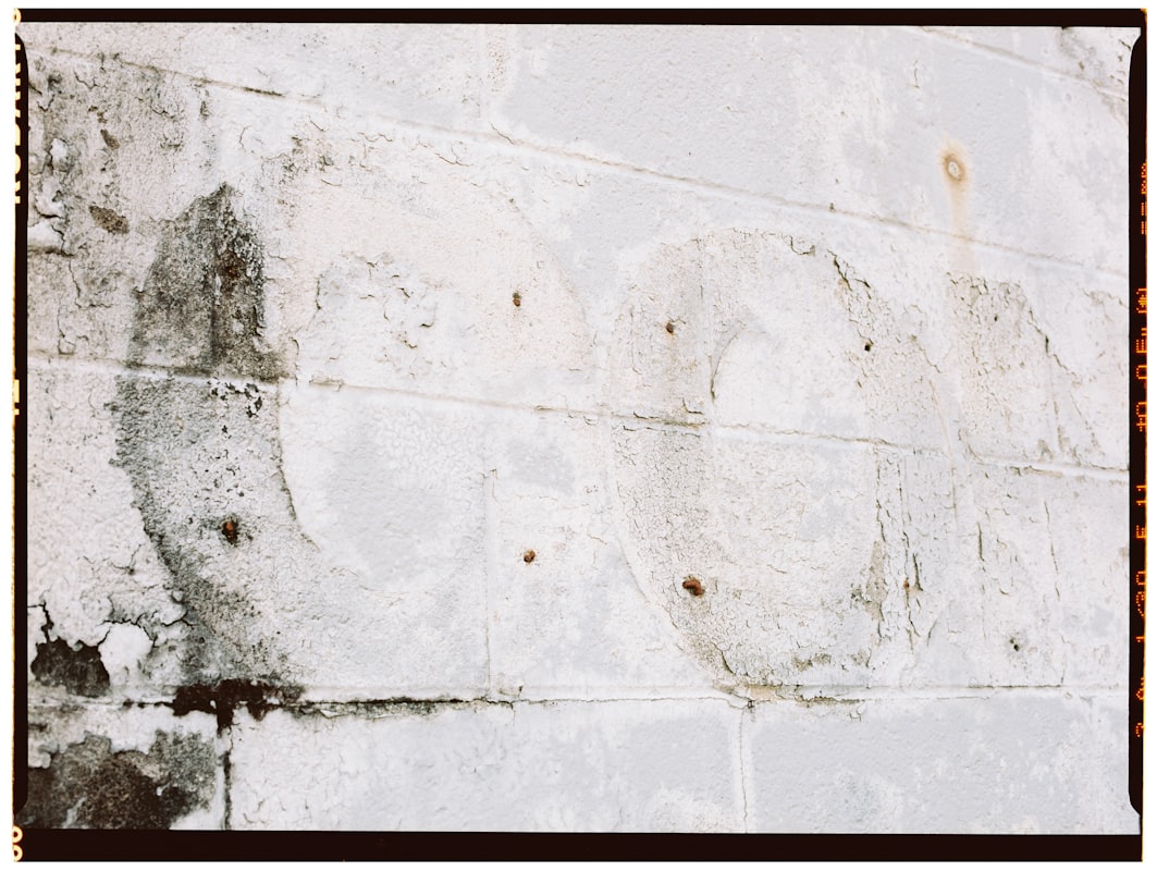 Commercial Water Damage service in McAllen, TX